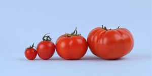 In what capacity may tomato advantage your skin?